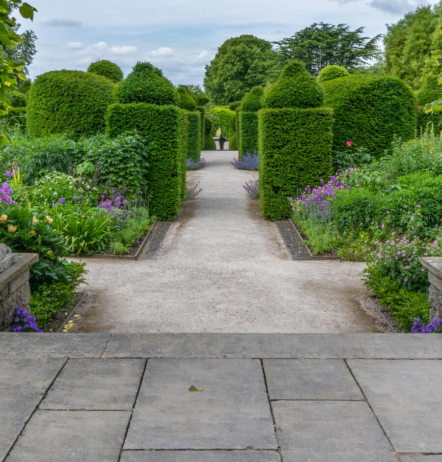 South London landscaping project